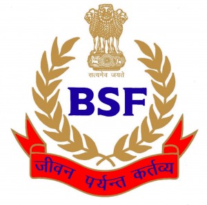 BSF logo