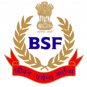 BSF logo