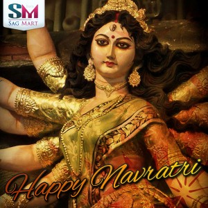 happy navratri 2013