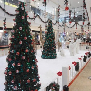 christmas places in bangalore