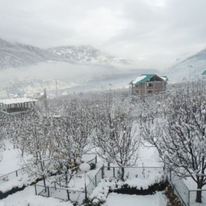 christmas places in manali