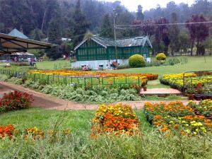 visiting places Ooty during christmas