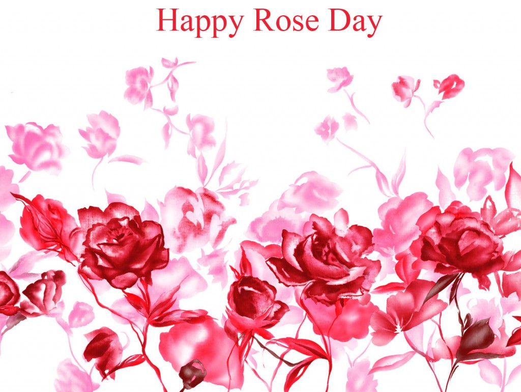 rose day