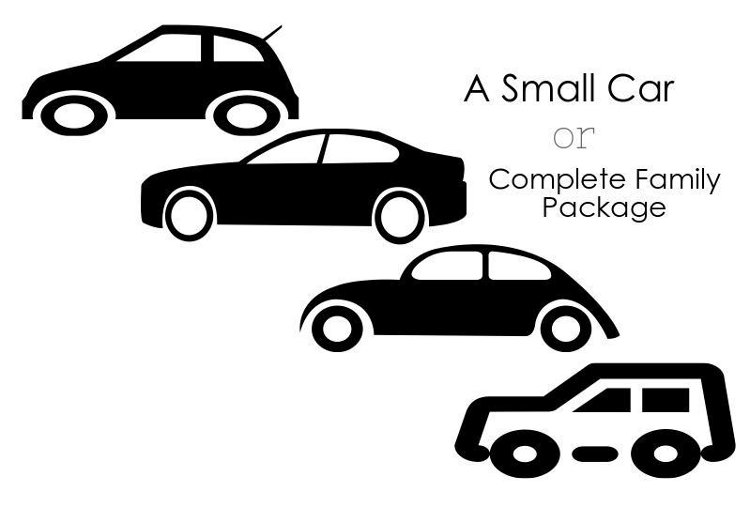 A Small Car or Complete Family Package