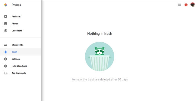 Google Photos Trash